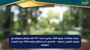 صرف معاشات يونيو 2025: بشرى سارة لـ 137 ألف مواطن وذويهم مع وصول الفلوس للبنوك – تفاصيل الاستحقاق وقيمة 1500 جنيه للفئات المؤهلة